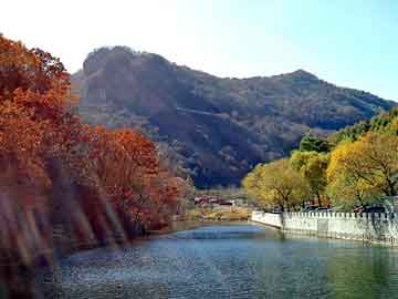 管家婆黑白马报图库，夏沫微然